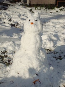 snow, snowman, snowbunny