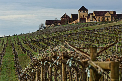One of my favorite local vineyards. photo credit: drburtoni via photopin cc