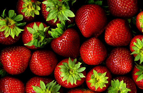 I absolutely love fresh-picked strawberries. 
