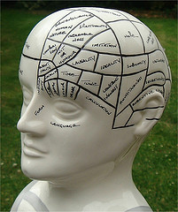 phrenology head